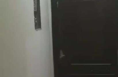 شقة - للايجار - بلاط - الشيخ زايد