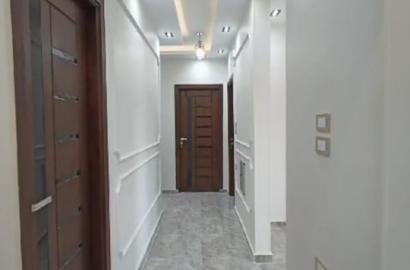 شقة - للايجار - بلاط - الشيخ زايد