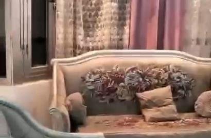 شقة - للايجار - مفروش - الثلاثيني الرئيسي