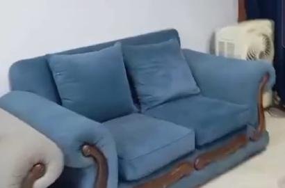 شقة - للايجار - مفروش امام بيتزامكس الثلاثيني