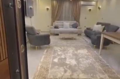 شقة - للايجار - مفروش - المنيل