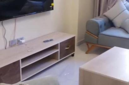 شقة - للايجار - مفروش - الفيصل - ناصر الثوره الرئيسي