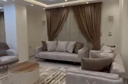 شقة - للايجار - مفروش -المنيل